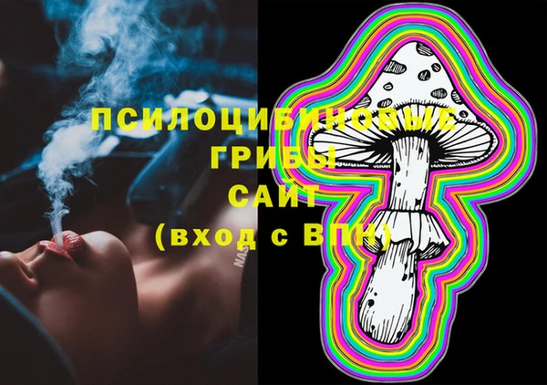 бошки Бородино