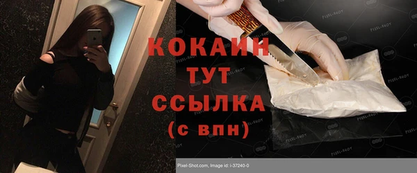 прущие грибы Богданович