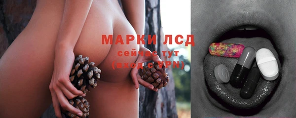 бошки Бородино