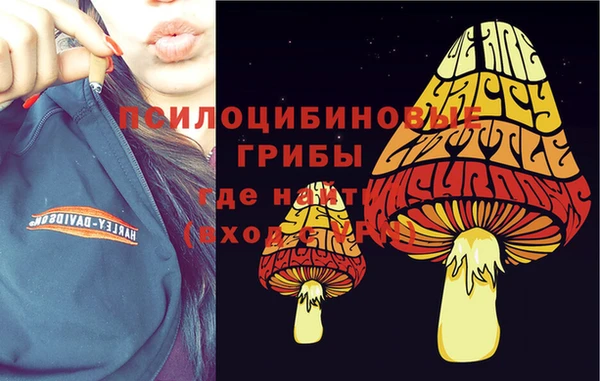 бошки Бородино