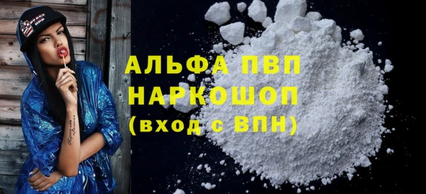 прущие грибы Богданович