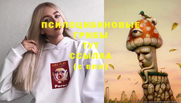 прущая мука Богородицк