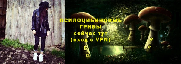 mix Белокуриха