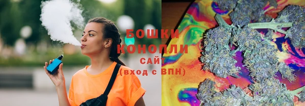 бошки Бородино