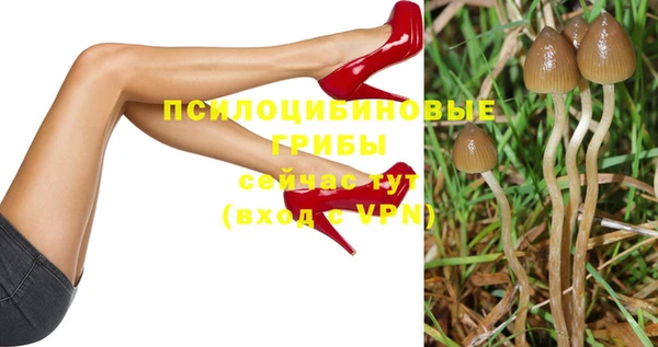 прущие грибы Богданович