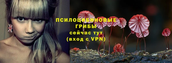 прущая мука Богородицк