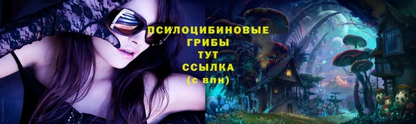 прущая мука Бронницы