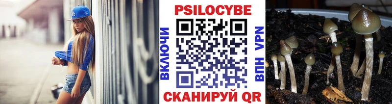 Псилоцибиновые грибы Psilocybine cubensis  OMG зеркало  Гусев 
